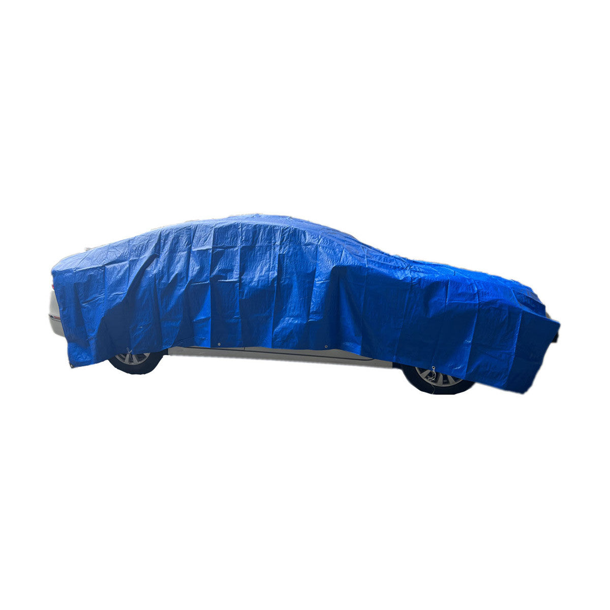 Pro Essentials Medium Duty Tarp, 10 ft x 16 ft
