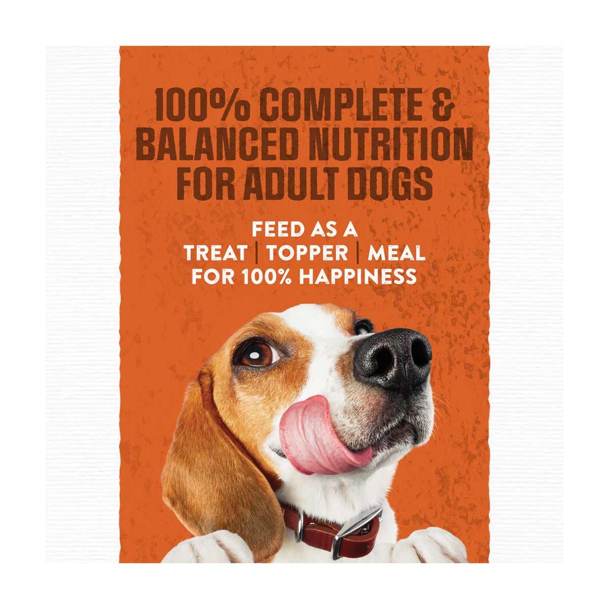 Moist & Meaty Burger with Cheddar Cheese Flavor Soft Dog Food Pouches, 6 ct