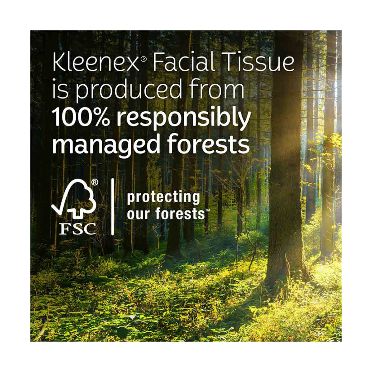 Kleenex Trusted Care Everyday Clean Facial Tissues, 1 Flat Box, 72 ct