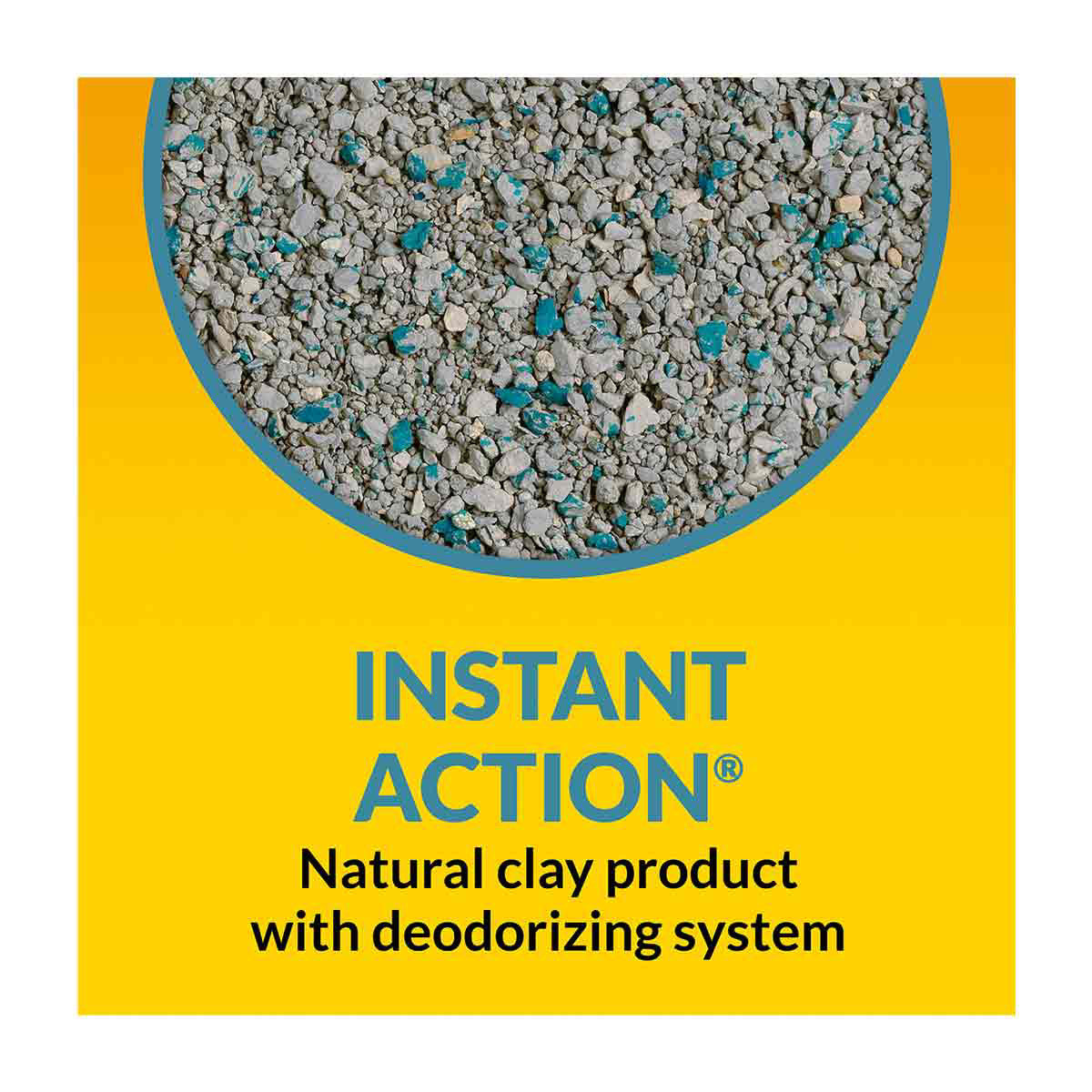 Tidy Cats Instant Action Non-Clumping Clay Cat Litter, 10 lbs