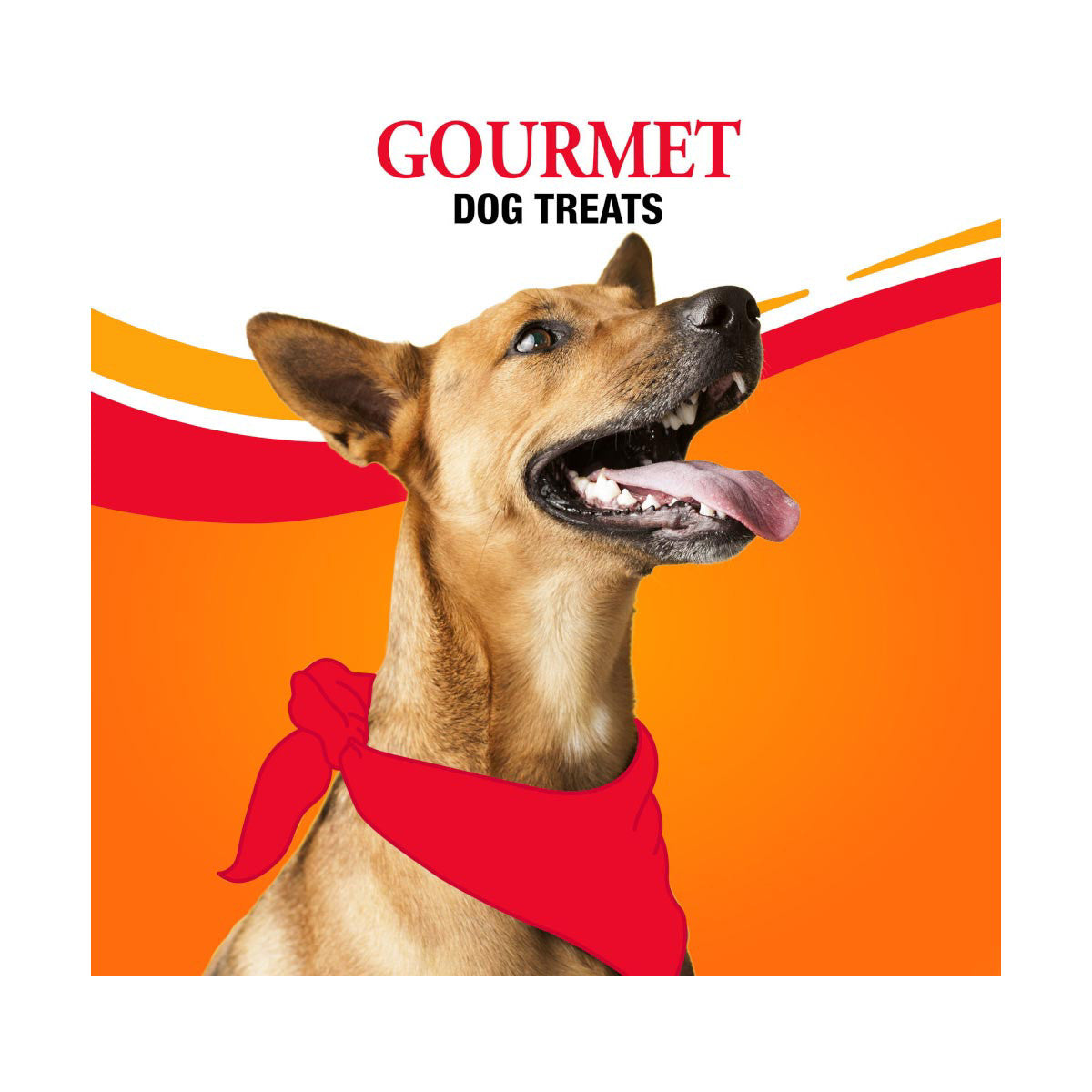 Good ’n’ Fun Triple Flavor 7 Inch Rolls, Rawhide Chews for Dogs, 2 ct