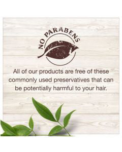 Garnier Whole Blends Smoothing Conditioner Coconut Oil & Cocoa Butter Extract - 12.5 fl oz