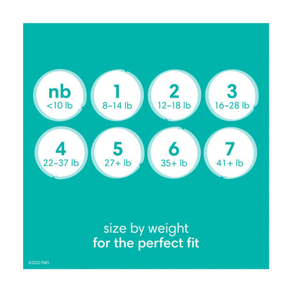 Pampers Baby Dry Diapers, Size 5, 27+ lbs, 24 Count, Absorbent Disposable Diapers