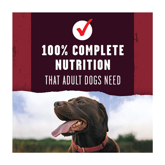 Purina Alpo Prime Cuts Savory Beef Flavor Adult Dry Dog Food, 14 lb