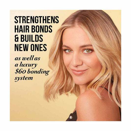 Pantene Daily Moisture Renewal 72 HR Lush Moisture Shampoo & Conditioner DUAL PACK SH 12oz/CN 10.4 FL OZ DP